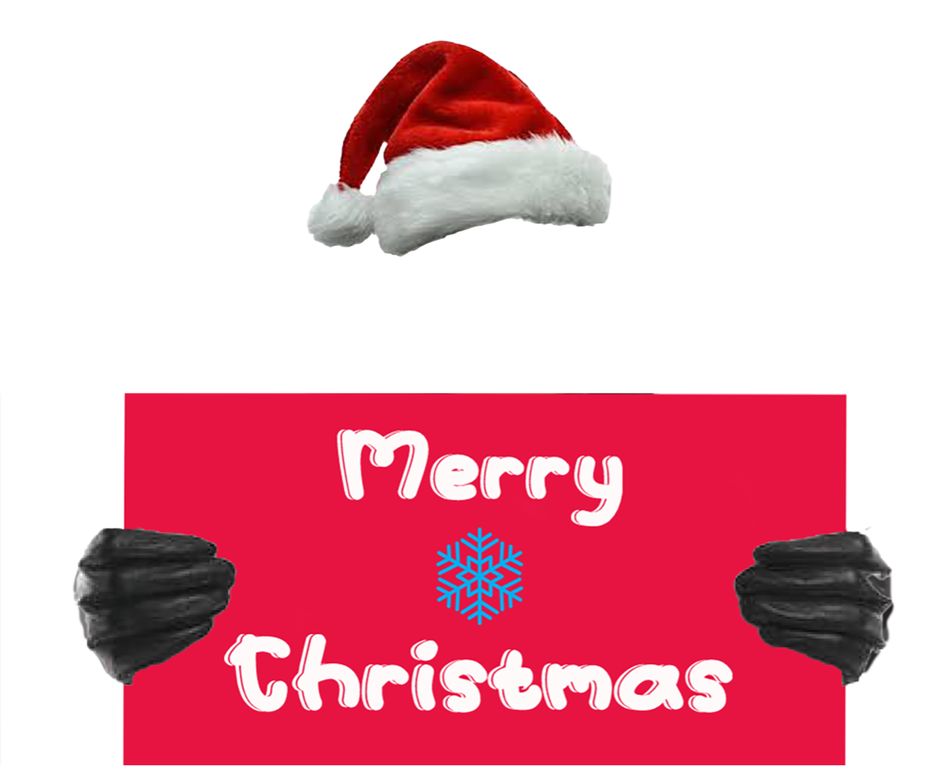 Christmas  Portrait 1-2 people (With Hats)
